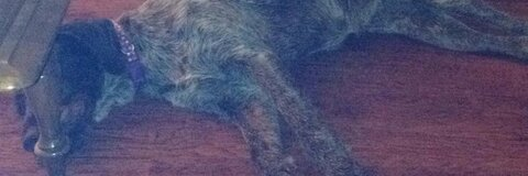 Harper @wtharper cover picture