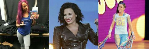 WWE LOVATIC @wwelovatic4ever cover picture