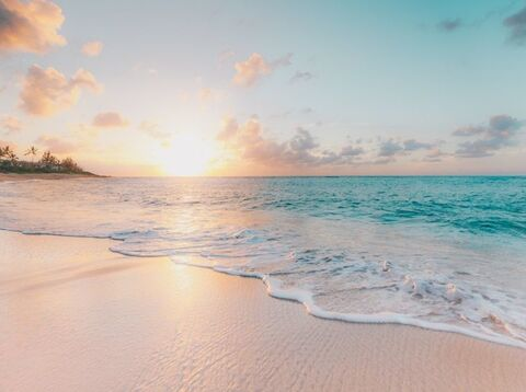 WyldChild @wyldchild cover picture