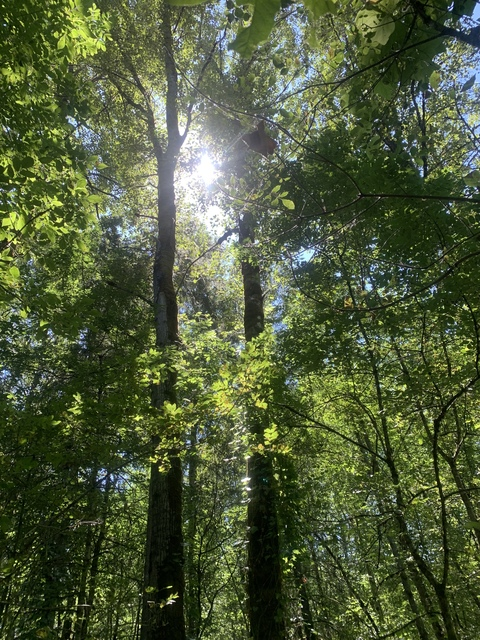 Wylie @wylie cover picture