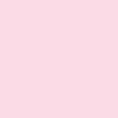 chloe @xchlxex cover picture