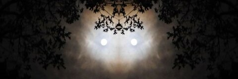 Damian @xdamiandragunx cover picture