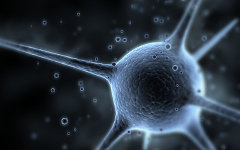 LiB @xlibx cover picture