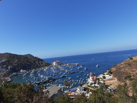 Erica H. @xnaughtymami cover picture