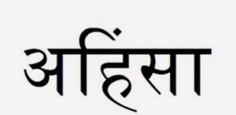 Nicole Aniston @xnicoleanistonx cover picture