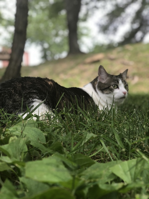 Victoria L @xovictoria cover picture