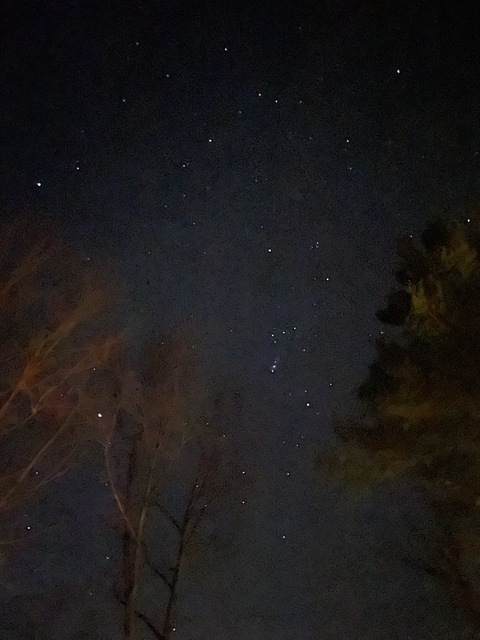 Raven @xoxorave cover picture