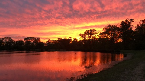 Shay @xshay cover picture