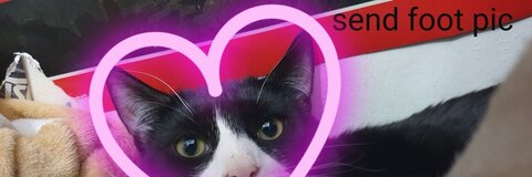 Stacy @xstacytgx cover picture