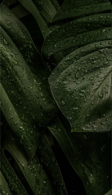 Mamitaxx @xvmamita cover picture