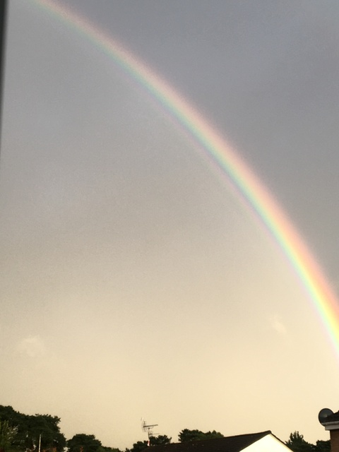 need money 4 car @xxbellesxx cover picture