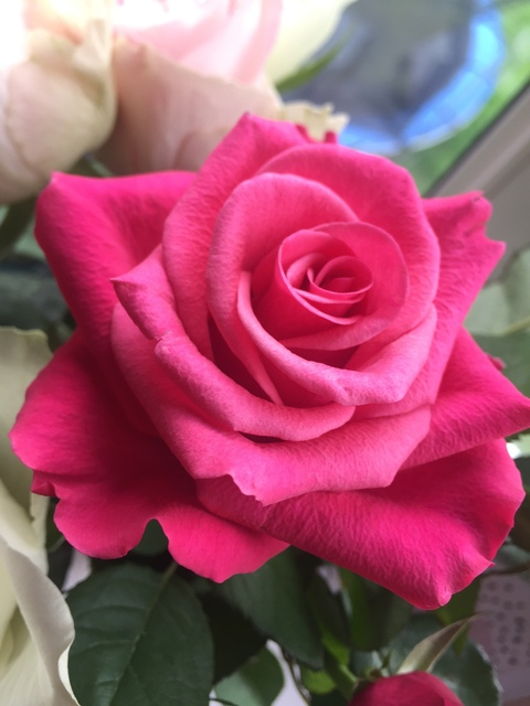 Caitlin @xxcoco cover picture