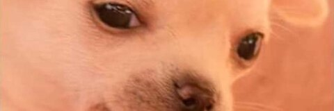 Yami Waifu @yami_waifu cover picture