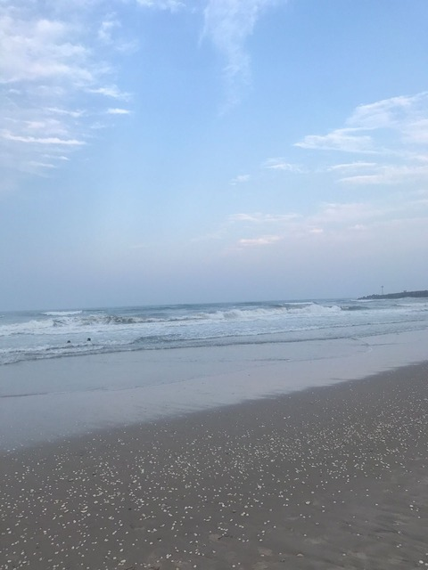 Yatthew @yatthew123 cover picture