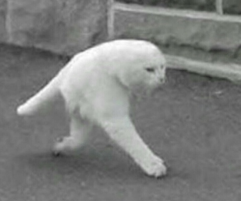 YeezyTaughtMe @yeezytaughtmee cover picture