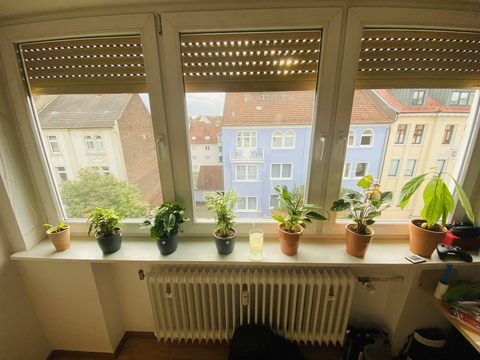 Robin @yellowstorm cover picture