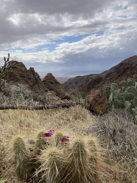 Yessica @yessicaeisme cover picture