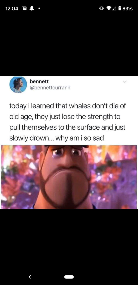 Yessir20 @yessir10000 cover picture