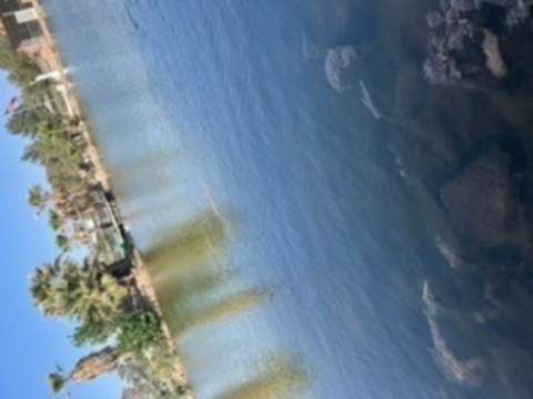 Yoseluv13 @yoseluv13 cover picture