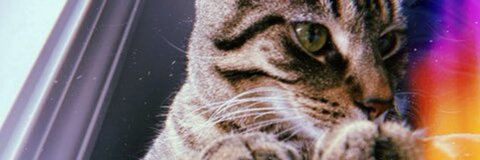 Taliah ♊️ @young_tmoe cover picture