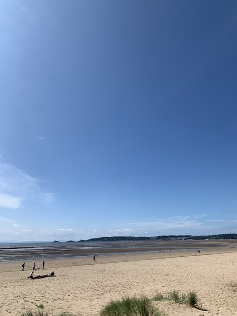 Yourgirlpoppy @yourgirlpoppy cover picture