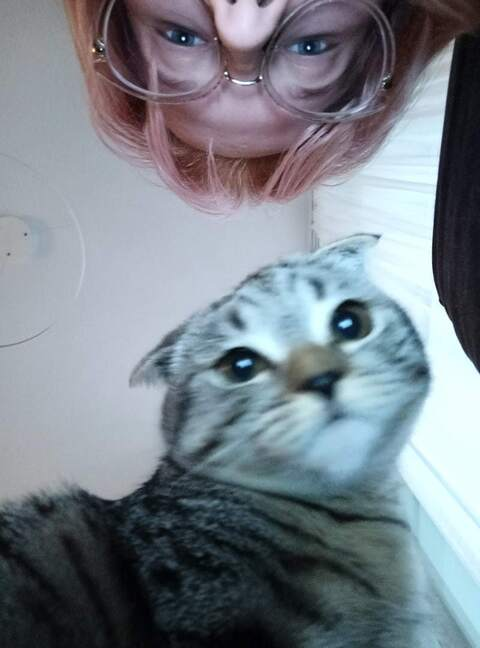 your lisa ♡ @yourlisa cover picture