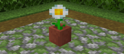 KittenGirl @yourlittledaisy cover picture