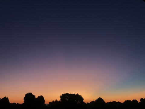 🍑✨ @yourlittlepeach_sh cover picture