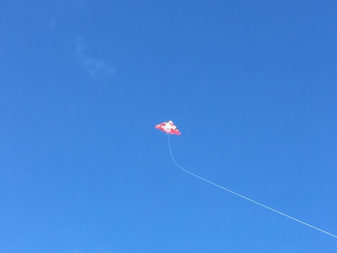 YUKIKO @yukiko cover picture