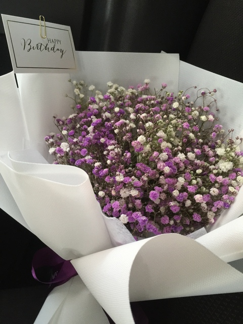 Z @zaaaaaaaa cover picture