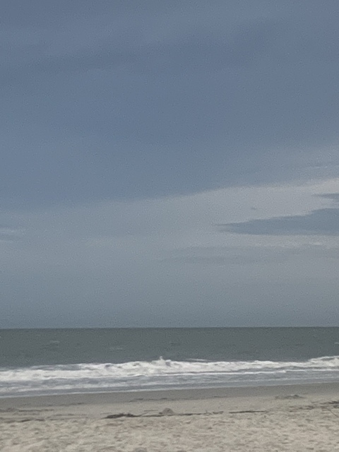 Jack Frost @zeejackfrost cover picture