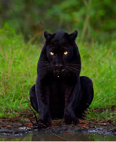 Zeek @zeekuchiha cover picture