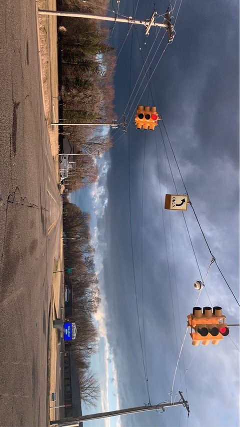 Zelda @zeldacat21 cover picture