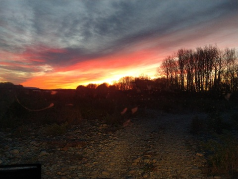 Zelda Denise Vermaak @zfyre cover picture