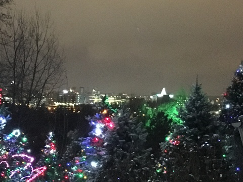 Zilia @zilia cover picture