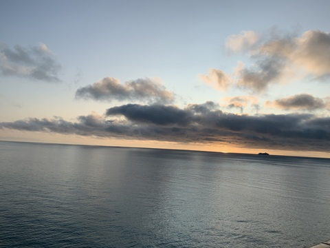 Zoey Jane🌼 @zoeyyyy cover picture