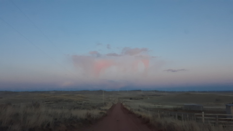 Zombie @zombiefrick88 cover picture