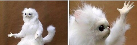 Becca @zoooooooooom cover picture