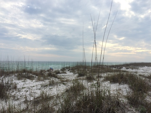 Zach @zrod89 cover picture